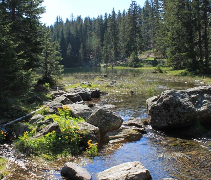 Lac Poursollet du camping lac de Laffrey